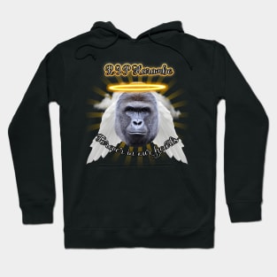 R.I.P Harambe Hoodie